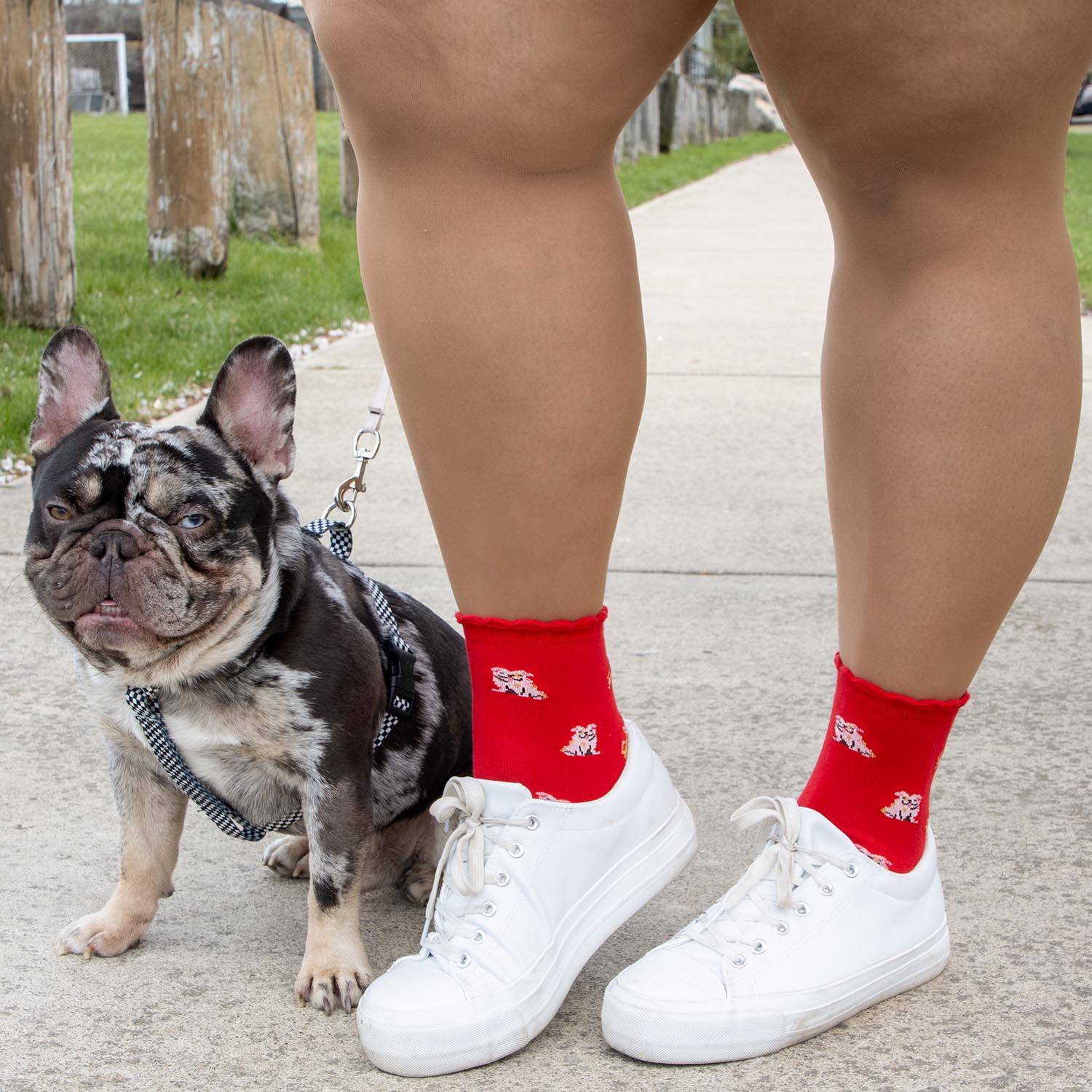 Bamboo Ankle Socks - 3 Pairs in Woof