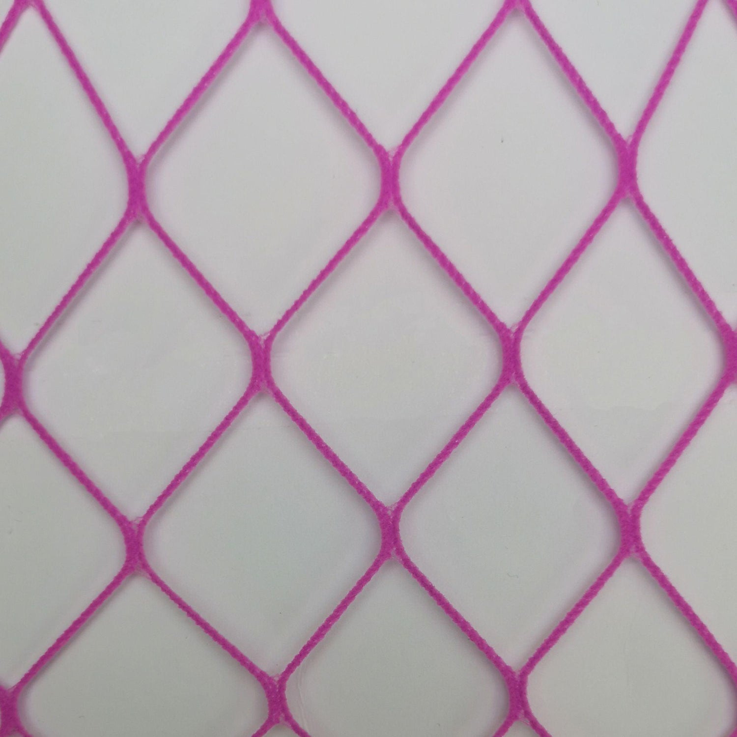 Sharkies - Bodacious - Snag