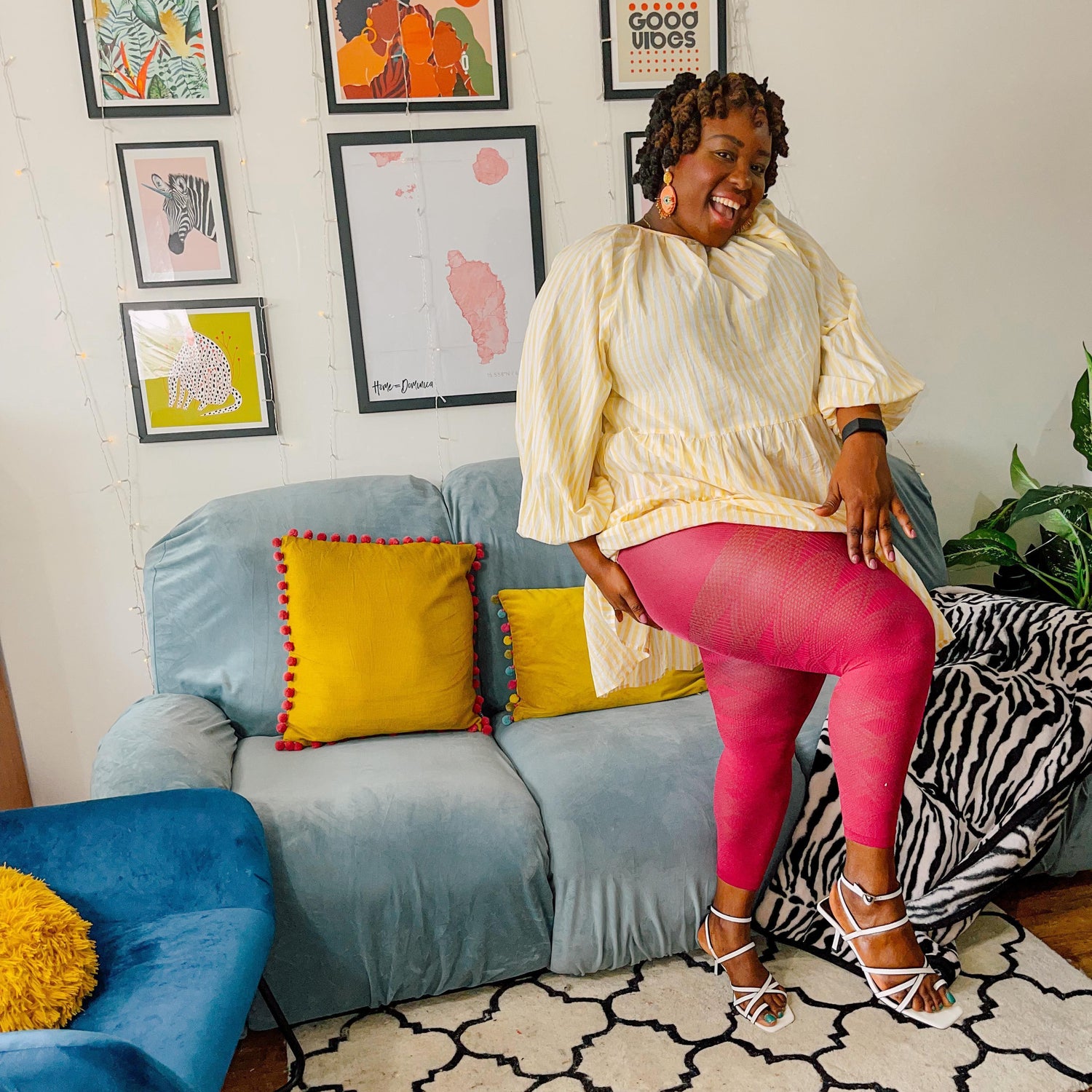 Flapper - Raspberry Pie - Snag