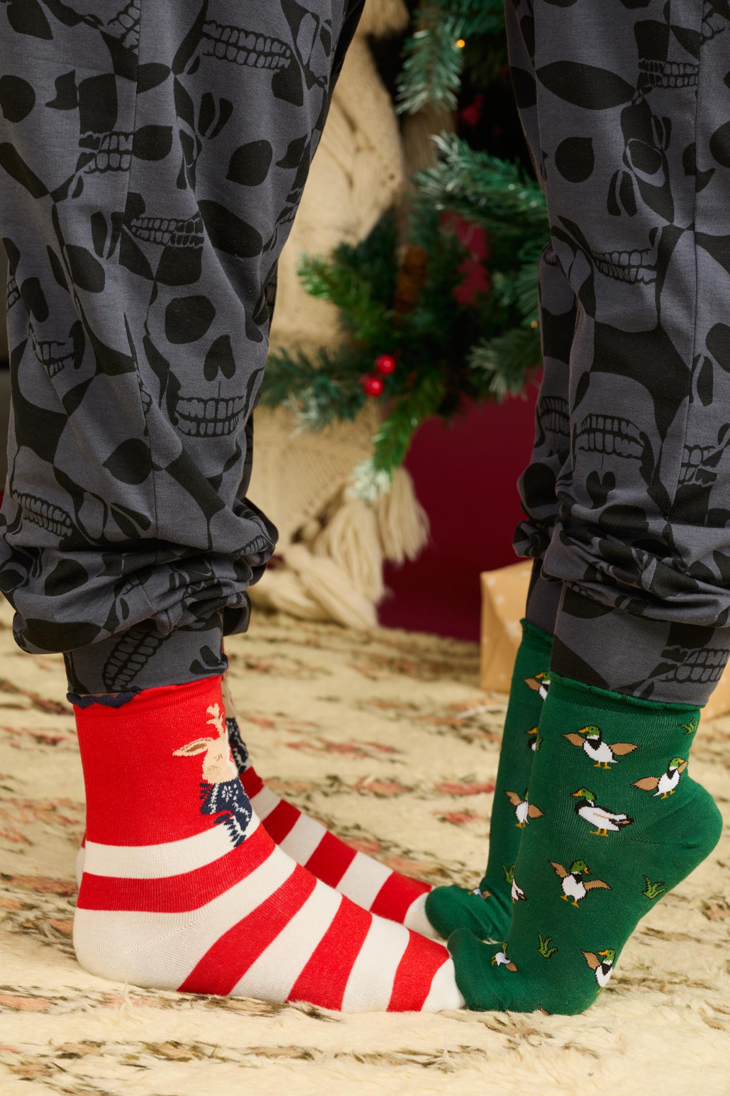 Animal Socks Variety Pack - 5 Pairs