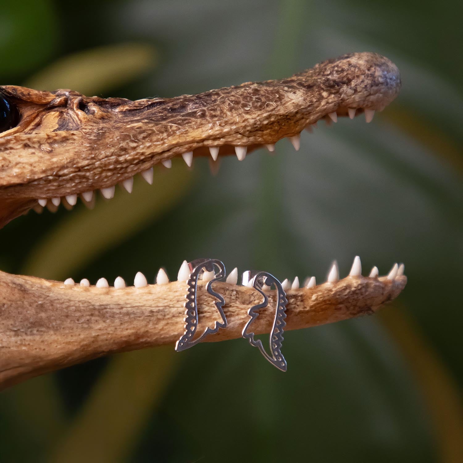 Dinosaur Stud Earrings - Silver